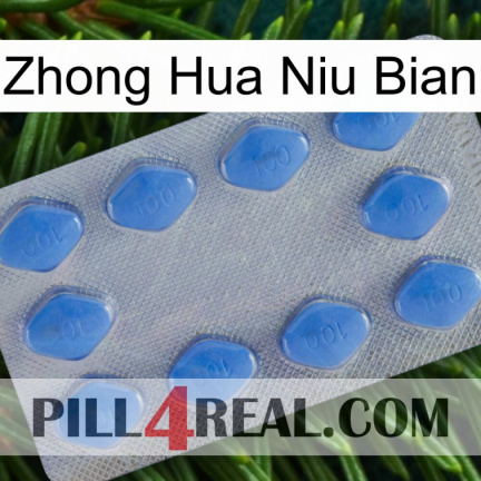 Zhong Hua Niu Bian 21